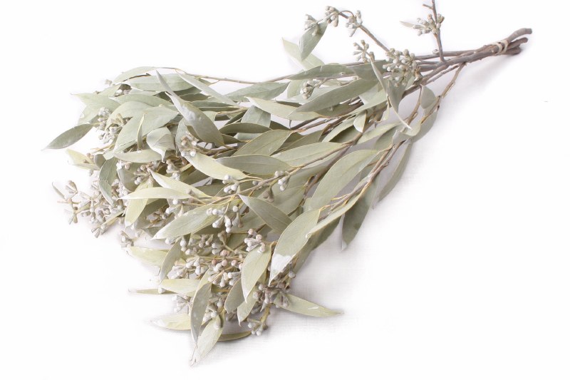 Picture of Dried Amber Fruit Foliage White Wash 75g